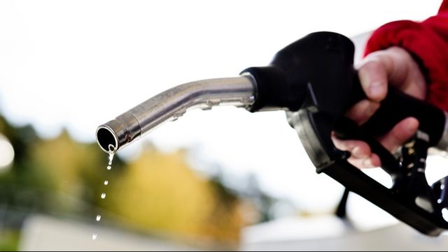 Arkivbild. Foto: Pontus Lundahl/TT