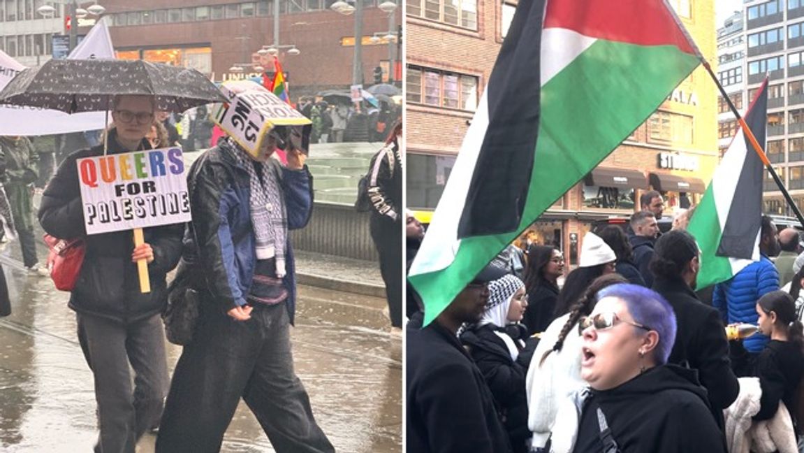 Demonstranter i antiisraeliska/propalestinska demonstrationer. Arkivbild. Foto: Bulletin