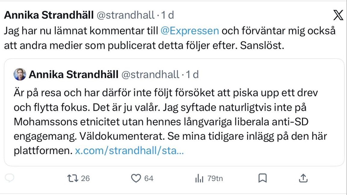 Strandhäll vill inte se rapporter om reaktionerna på hennes utspel. Foto: Skärmdump