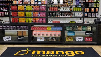 Sara Skyttedal menar att hon bara har använt droger där det har varit lagligt. Partiet menar att deras företrädare måste vara fria från narkotika. Foto: Sue Ogrocki/TT