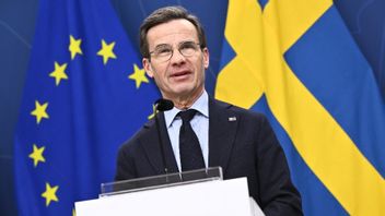 Foto: Henrik Montgomery/TT