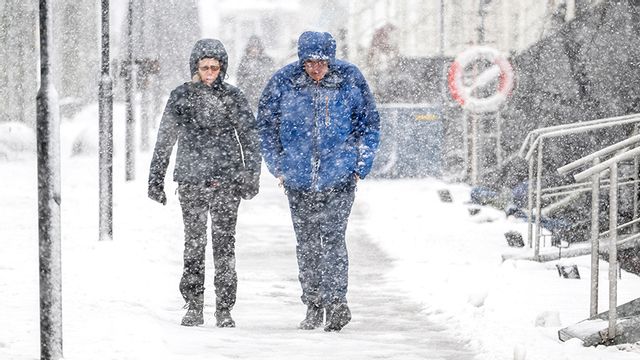 Ymnigt snöfall i centrala Stockholm under fredagen. Foto: Anders Wiklund/TT