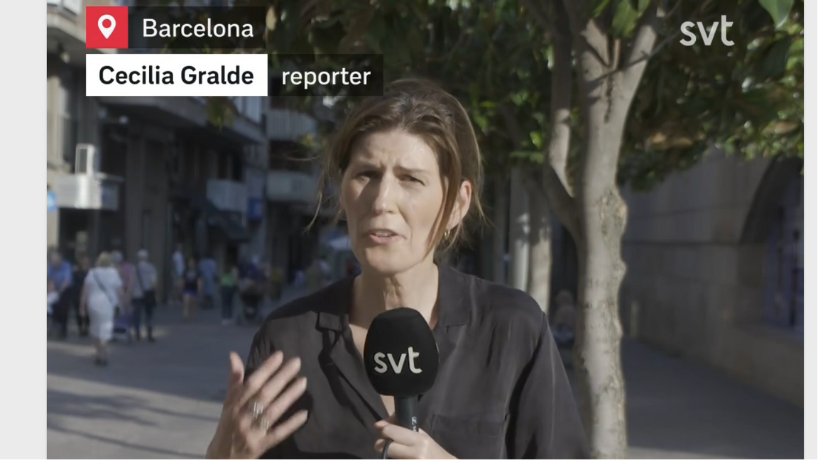 SVT kunde inte rapportera om värmen från Sverige utan behövde vara på plats. Foto: Screenshot