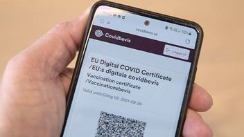 Justitieombudsmannen (JO) har fått in rekordmånga anmälningar om vaccinbevisen. Foto: Johan Jeppsson/TT