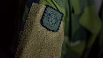 Aegis-symbolen som tilldelas nybakade cybersoldater. Foto: Försvarsmakten