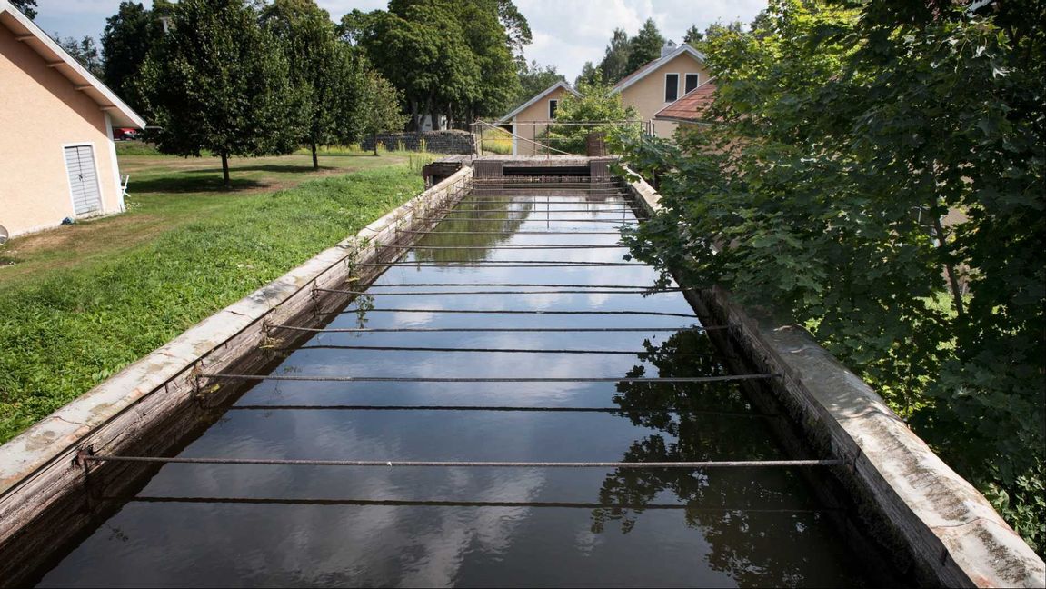 Uppemot 1 900 småskaliga vattenkraftverk kan tvingas stänga i och med den stränga tillämpningen av EU:s vattendirektiv. Foto: Malin Hoelstad / SvD / TT