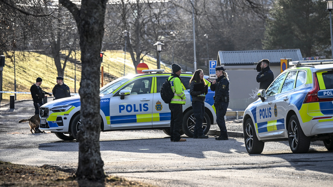 Foto: Fredrik Sandberg/TT (arkivbild)