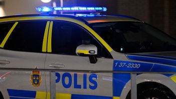 En flicka i Malmö fördes till sjukhus efter att ha blivit hundbiten. Arkivbild. Foto: JONAS EKSTRÖMER/TT