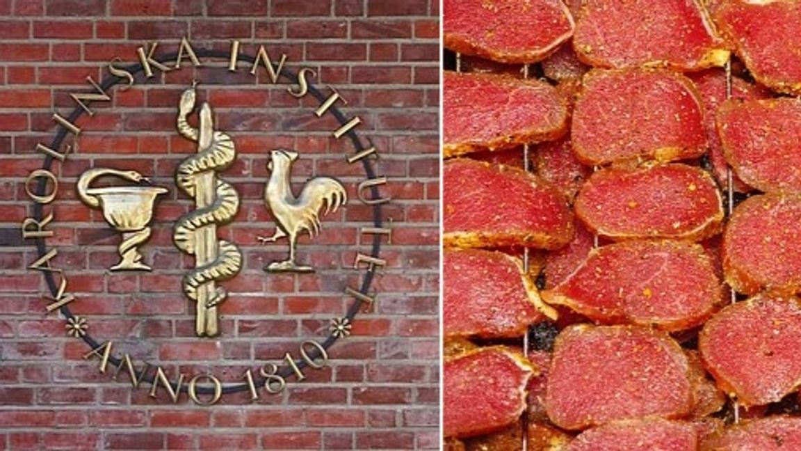 Holger Ellgaard, Pannet/CC BY 4.0