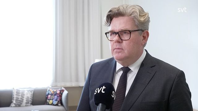 Gunnar Strömmer (M). Foto: SVT