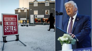 Donald Trump förhandlar om Grönland med Nato. Foto: Evan Vucci/AP/TT/Mads Claus Rasmussen/Scanpix Denmark/TT