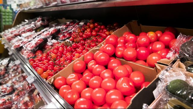 Arkivbild. Foto: Gorm Kallestad/NTB/TT