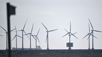 På bilden havsvindparken Lillgrund söder om Öresundsbron. Arkivbild. Foto: Johan Nilsson/TT.