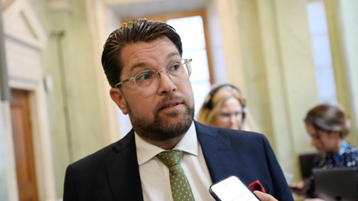 Jimmie Åkesson om det kommande lönegolvet för utländsk arbetskraft. Foto: Pontus Lundahl/TT