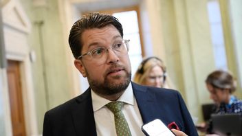 Jimmie Åkesson om det kommande lönegolvet för utländsk arbetskraft. Foto: Pontus Lundahl/TT