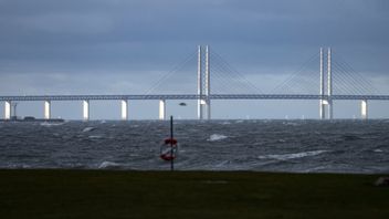 Vägförbindelsen mellan Umeå och Vasa skulle vara ungefär fyra gånger längre än Öresundsbron. Foto: Johan Nilsson/TT