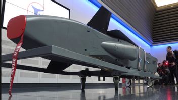 Tyskland säger återigen nej till att skicka robotsystemet Taurus till Ukraina. Bild från tidigare i mars. Foto: Karl-Josef Hildenbrand/AP/TT