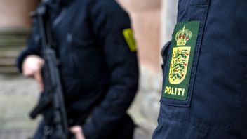 Polis i Danmark. Foto: Johan Nilsson/TT.