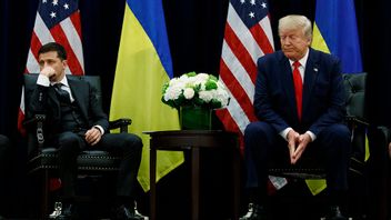 Volodymyr Zelenskyj och Donald Trump 2019, innan kriget bröt ut. Foto: Evan Vucci/AP/TT