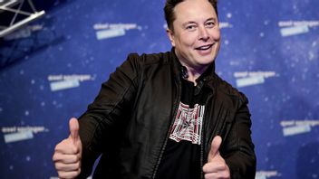 Ska Elon Musk bli först på Mars?
Foto: Britta Pedersen/AP