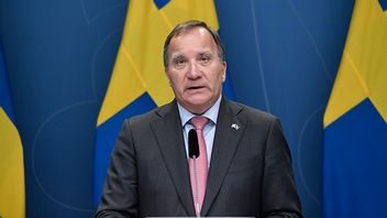 Stefan Löfvén avgår som statsminister. Foto: Stina Stjernkvist/TT.