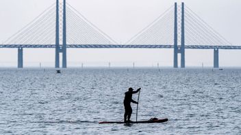 Arkivbild. Foto: Johan Nilsson/TT