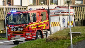 Arkivbild. Foto: Björn Larsson Rosvall/TT