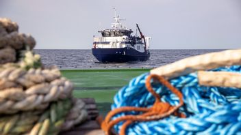 I juli kommer nya dykningar utföras vid Estonias vrak. Foto: Stefan Jerrevång/TT