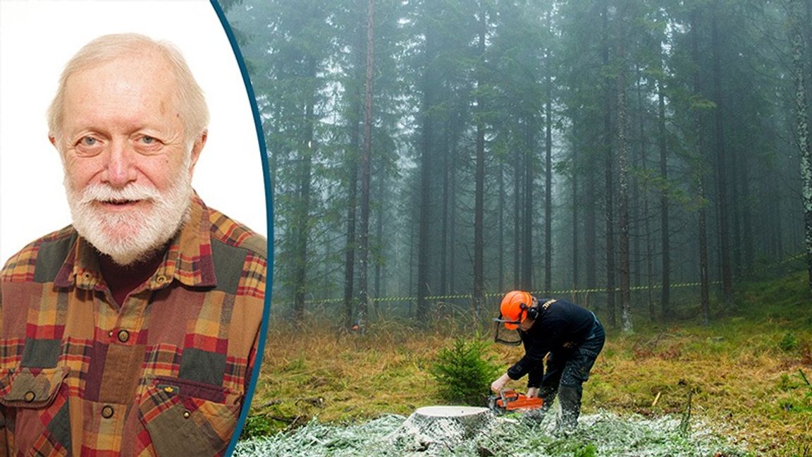 Det svenska skogsbruket är hotat av byråkrater, enligt Björn Törnvall. Foto: Vegard Wivestad Grøtt/NTB/TT