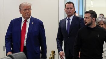 Donald Trump och Volodymyr Zelenskyj tidigare i år. Foto: AP