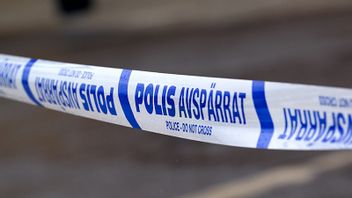 Foto: Janerik Henriksson/TT