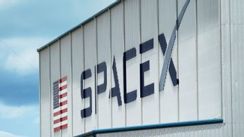 SpaceX logotyp. Foto: TT/(AP Photo/David J. Phillip)