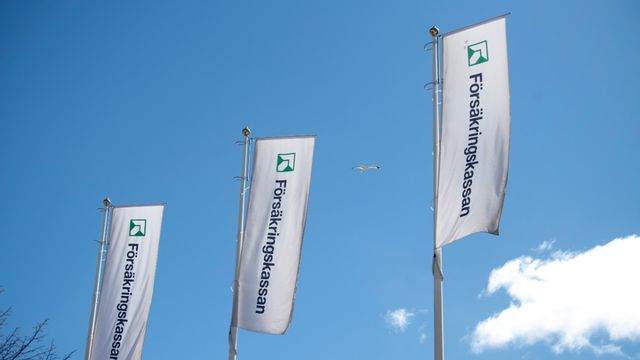 Försäkringskassans möjligheter att avslöja fusk och fel i assistansersättningen har begränsats. Foto: Jessica Gow/TT