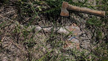 Styckmördarens yxa hittades i en vägren i Sörmland. Foto: Polisen