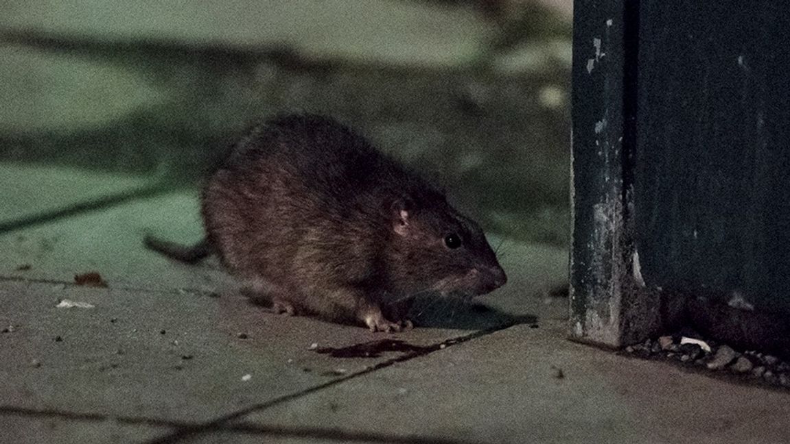 Genrebild. Foto: Vilhelm Stokstad/TT