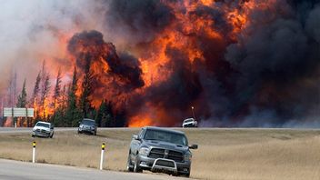 Bild tagen från maj 2016 när Kanada hade en massiv skogsbrand söder om Fort McMurray, Alberta. Foto: Jonathan Hayward/AP/TT.