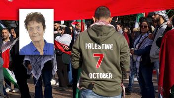 Christina Nilsson (SD) och bild från Palestinademonstration i Göteborg. Foto: Riksdagen/Sverigebilden