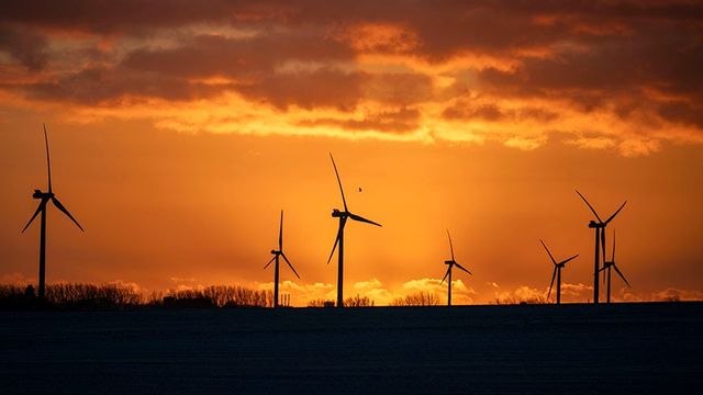 Genrebild. Foto: Johan Nilsson/TT