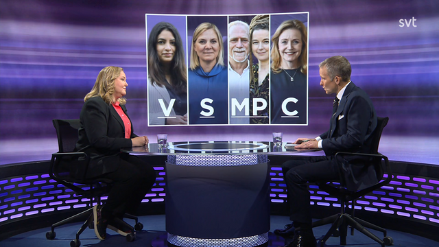 Ida Gabrielsson medverkade under torsdagen i SVT:s program 30 minuter med Anders Holmberg. Foto: Skärmdump SVT