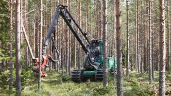 Svensk skogsindustri slår nya rekord: ”Ser allt fler förstagångsköpare”