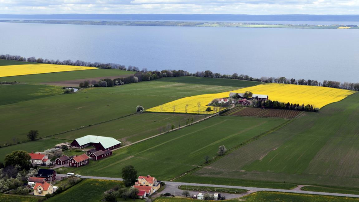 Vättern från Brahehus. Foto: Anders Good/TT