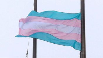 ”Transkvinnor är faktiskt inte kvinnor”, skriver Frida Karlsson. Foto: Steven Senne/AP/TT.