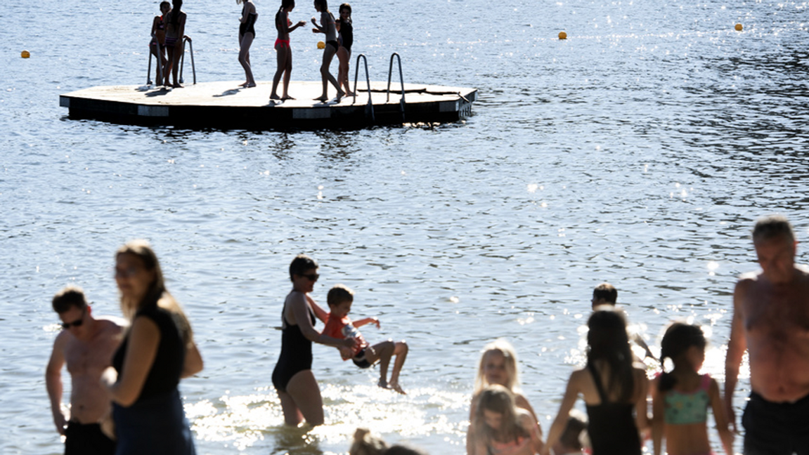 Se upp med var du badar i sommar. Foto: Jessica Gow/TT