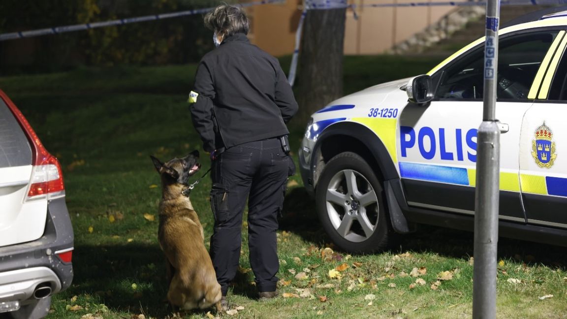 Polisen söker igenom brottsplatsen i Saltskog med hund. Foto: Fredrik Persson/TT