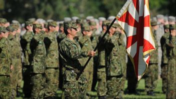 Premiärminister Ishiba har prioriterat Japans upprustning och inhemska vapentillverkning. Foto: TT