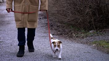 Genrebild. Foto: Janerik Henriksson/TT