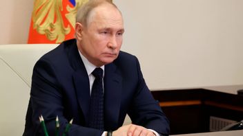 Ryska presidenten Vladimir Putin i samtal med försvarsministern Sergei Shoigu. Foto: Mikhail Klimentyev/AP/TT 