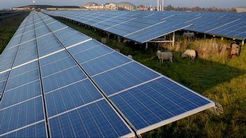 Spanien har gjort sig beroende av solkraft. Arkivbild. Foto: AP