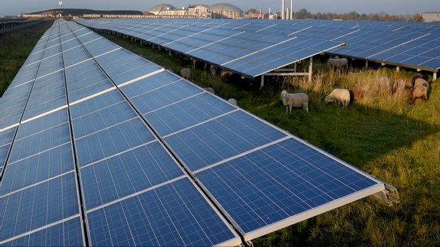 Spanien har gjort sig beroende av solkraft. Arkivbild. Foto: AP