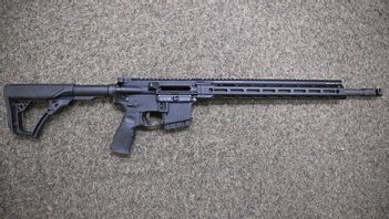 AR-15. Geväret som kan kosta regeringen makten. Foto: Mikael Fritzon/TT